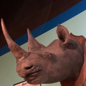 Meet your Posher, Jon